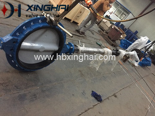 Wafer Type Centre Sealing Butterfly Valve