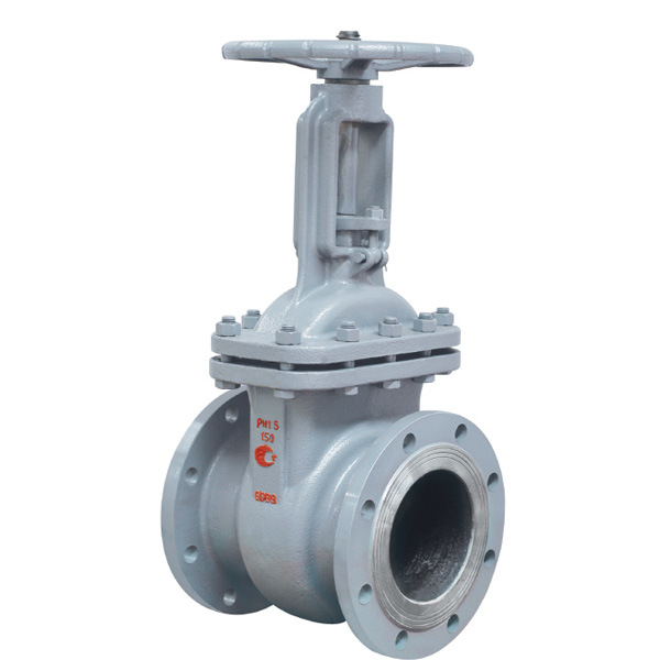 GOST Ss304 Light Gate Valve with ISO9001