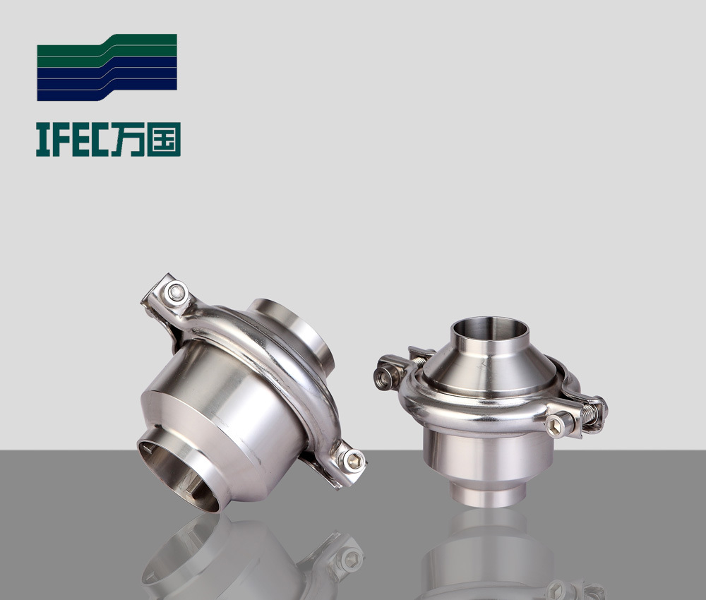 Stainless Steel Check Valve (IFEC-ZH100006)