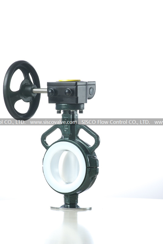 Manual Operated PTFE Lined Butterfly Valve (RBV040)