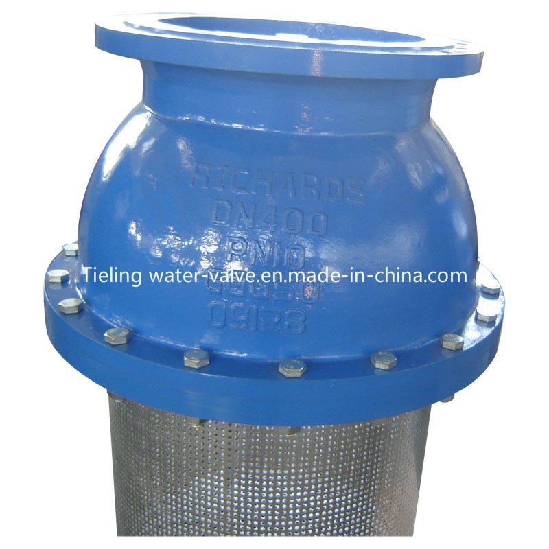 Cast Iron and Ductile Iron Foot Valve