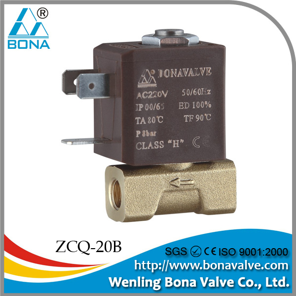 Solenoid Valve for Gas Steam Water and Air (ZCQ-20B)
