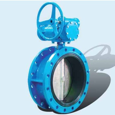 Worm Flange Butterfly Valve (D341)
