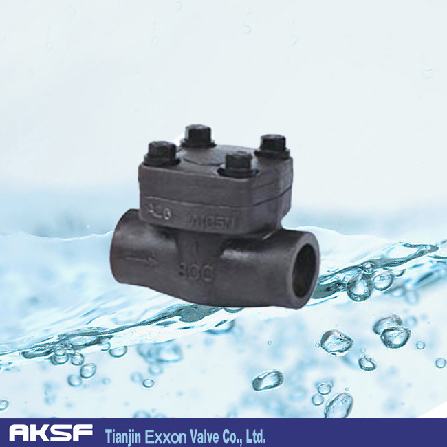 Forged Steel/Stainless Steel/API/Anis/Check Valve