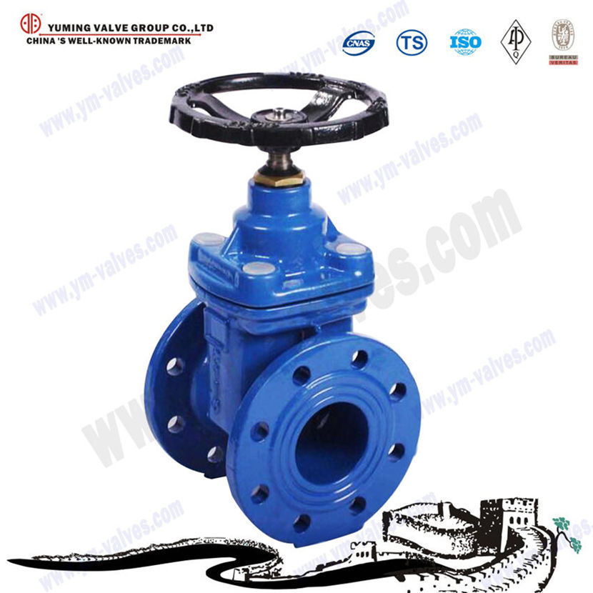 Manual Gear Operated Resilient Seated DIN Standard Flange End Gate Valve Dn600