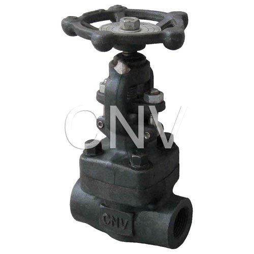 Forged Steel Globe Valve With CE Certificate
