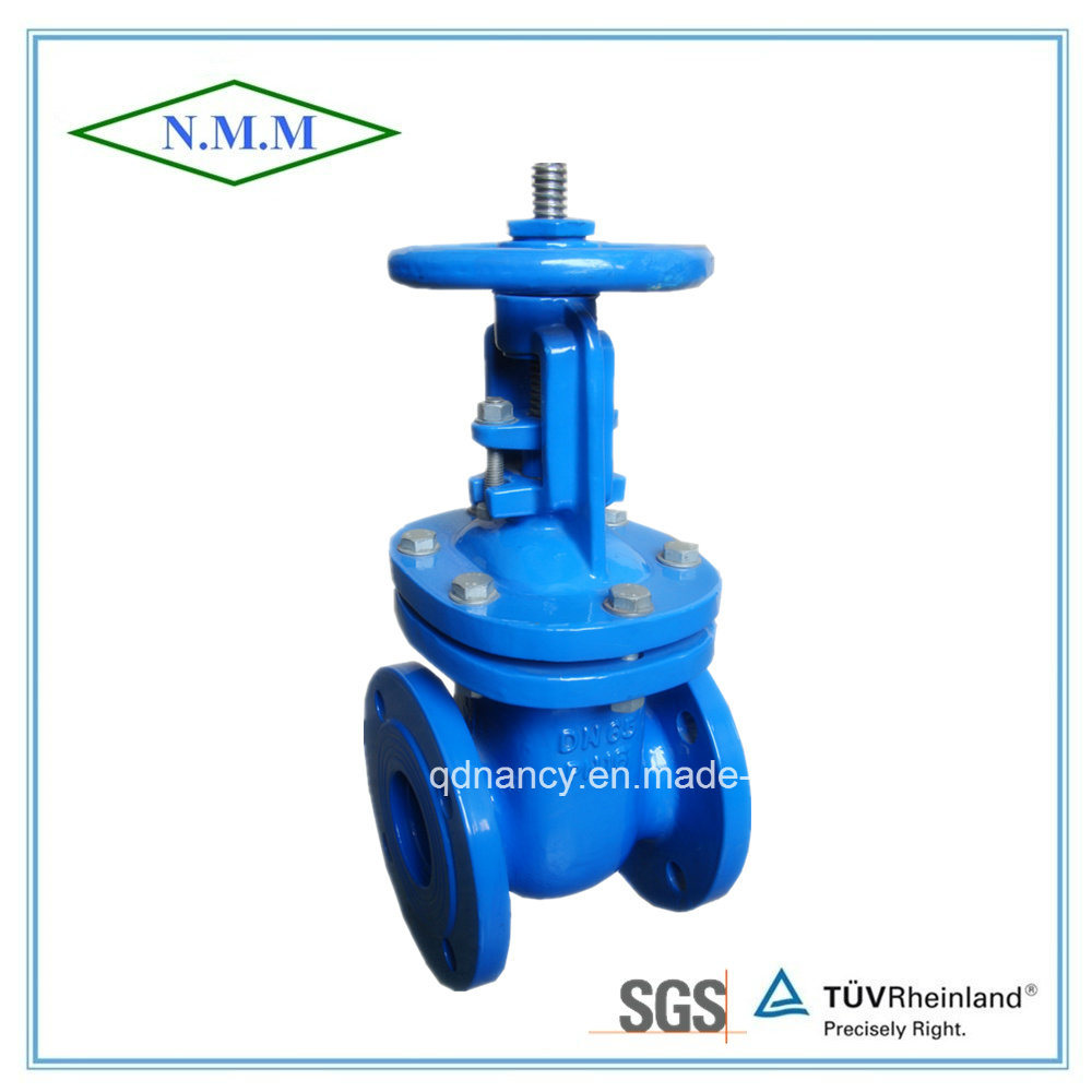 Cast Iron Wedge out Side Gate Valve