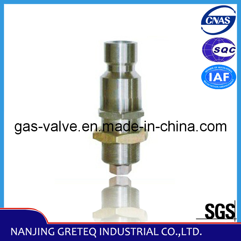 QF-T5 Stainless CNG Cylinder Check Valve (filling adaptor)