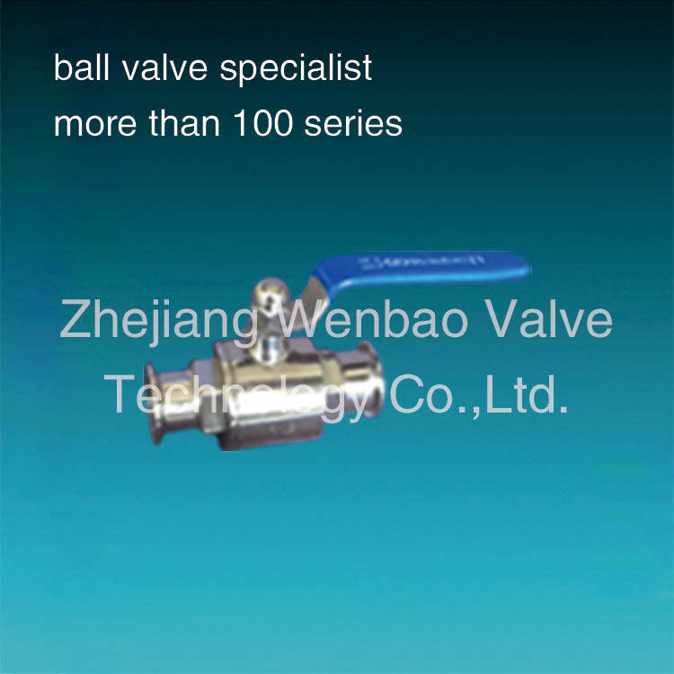 Satinless Steel 2PC Sanitary Ball Valve