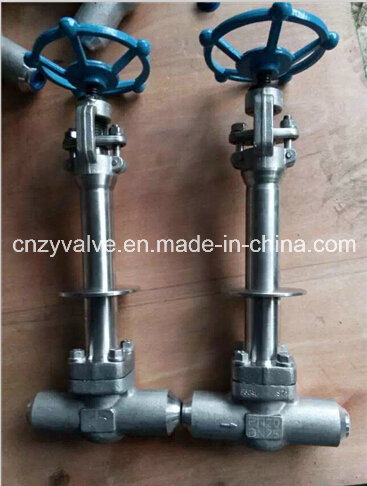 Avc Cryogenic Lcb Gate Valve and Forged Steel Gate Valve