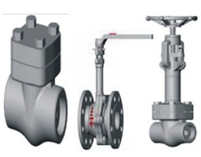 Forged Steel Crogenic Check/Gate/Ball Valve