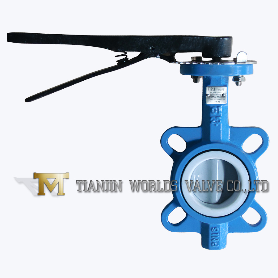 2.5 Inch PFA Lined Wafer Butterfly Valve (D71F-16)