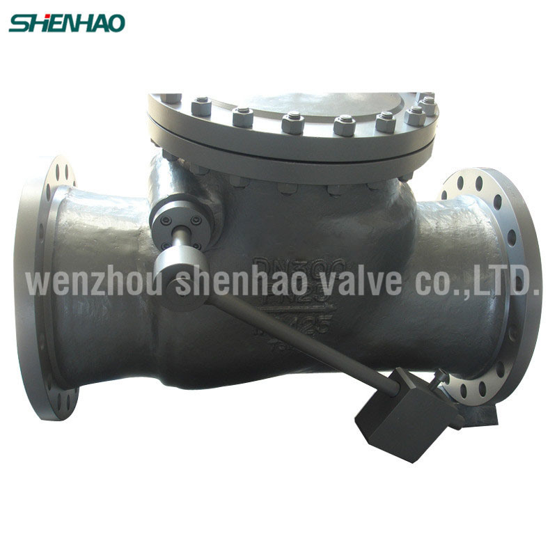 Swing Stainless Steel Check Valve