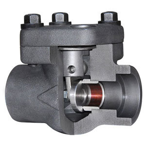 Class 800~1500 Forged Steel Bolt Type Swing Check Valve
