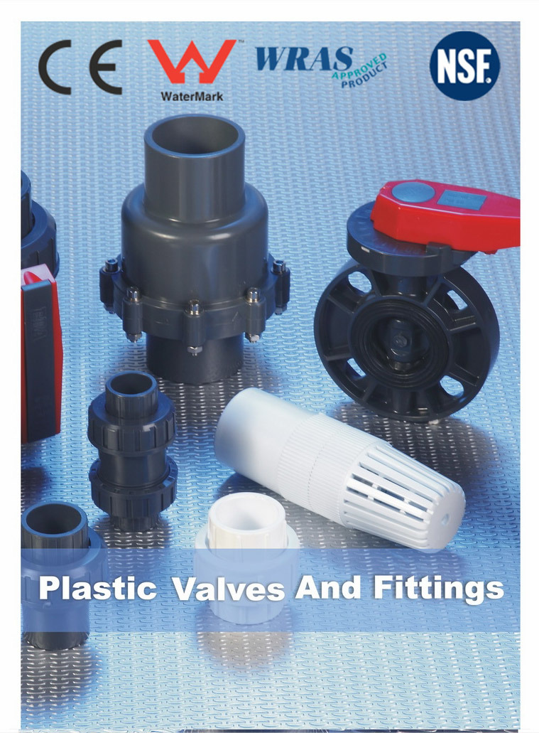 PVC CPVC Plastic Valves for Water Supply