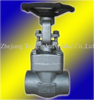 Forged Stainless Steel Globe Valve