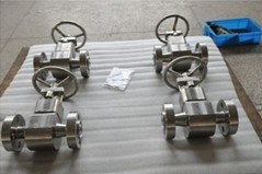 Special Material, F51 Duplex Stainless Steel Forged Globe Valve