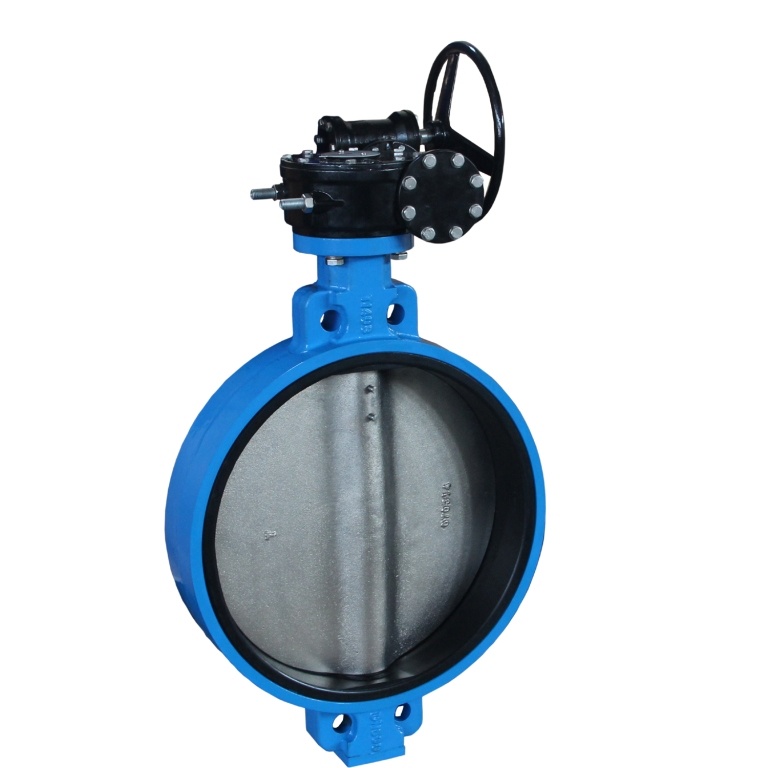 Dn200 Cast Iron Wafer Worm Gear Butterfly Valve with Pin