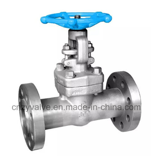 API602 Class800 F304/316 Gate Valve for Industry (Z41Y-800LB-2