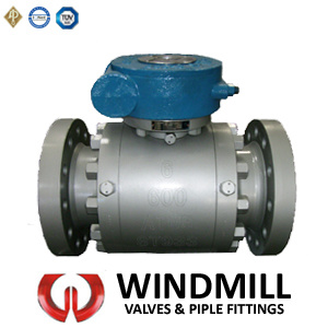 API Forged Type Fix Ball Valve with Worm