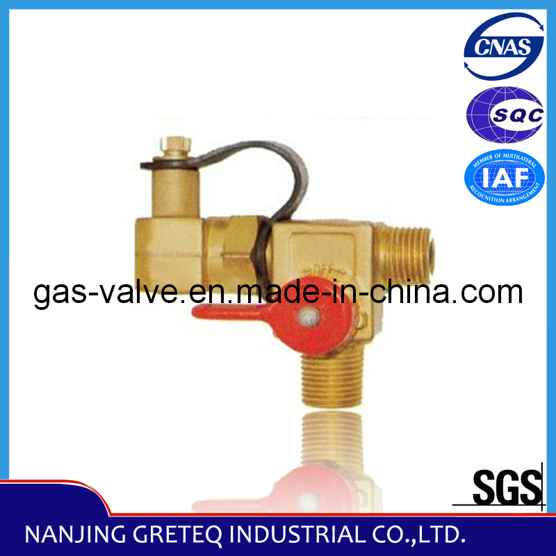QF-T1H Brass CNG Refilling Valve for Vehicle (20MPa, 11mm hole)