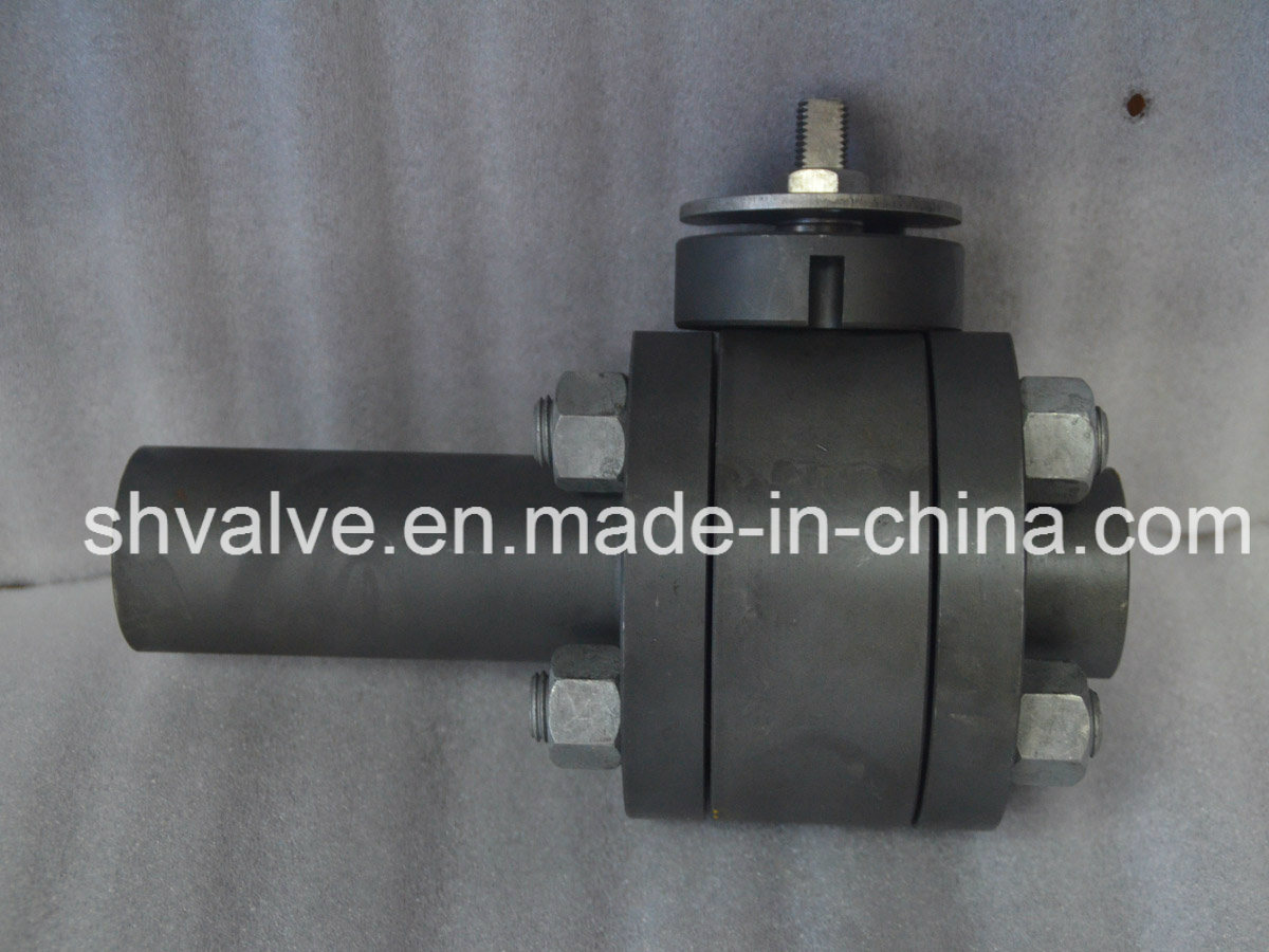 Cast & Forged Socked Welded Ball Valve