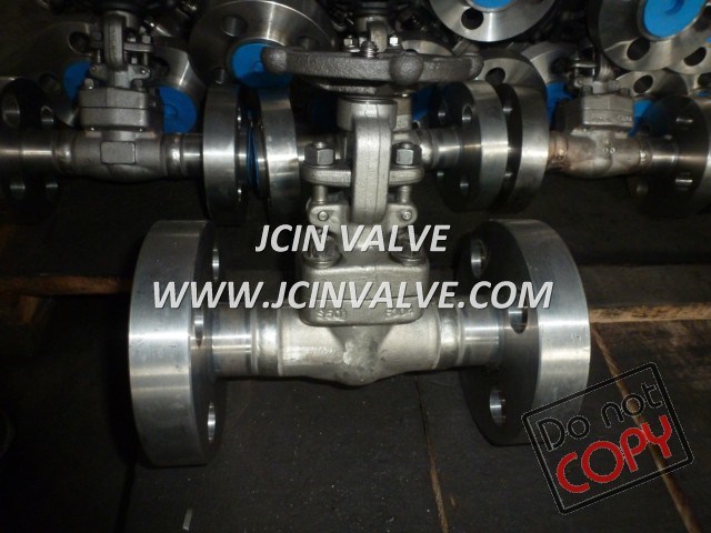 2500lbs Bolted Bonnet Forged Steel Gate Valve