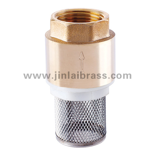 Spring Check Valve With Filter (JL-302) 
