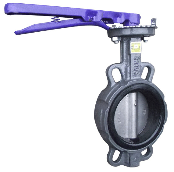 Hand Operated Cast Steel Butterfly Valve