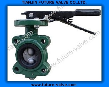 Short Neck Lug Type Butterfly Valve with Two Stems (D71X)