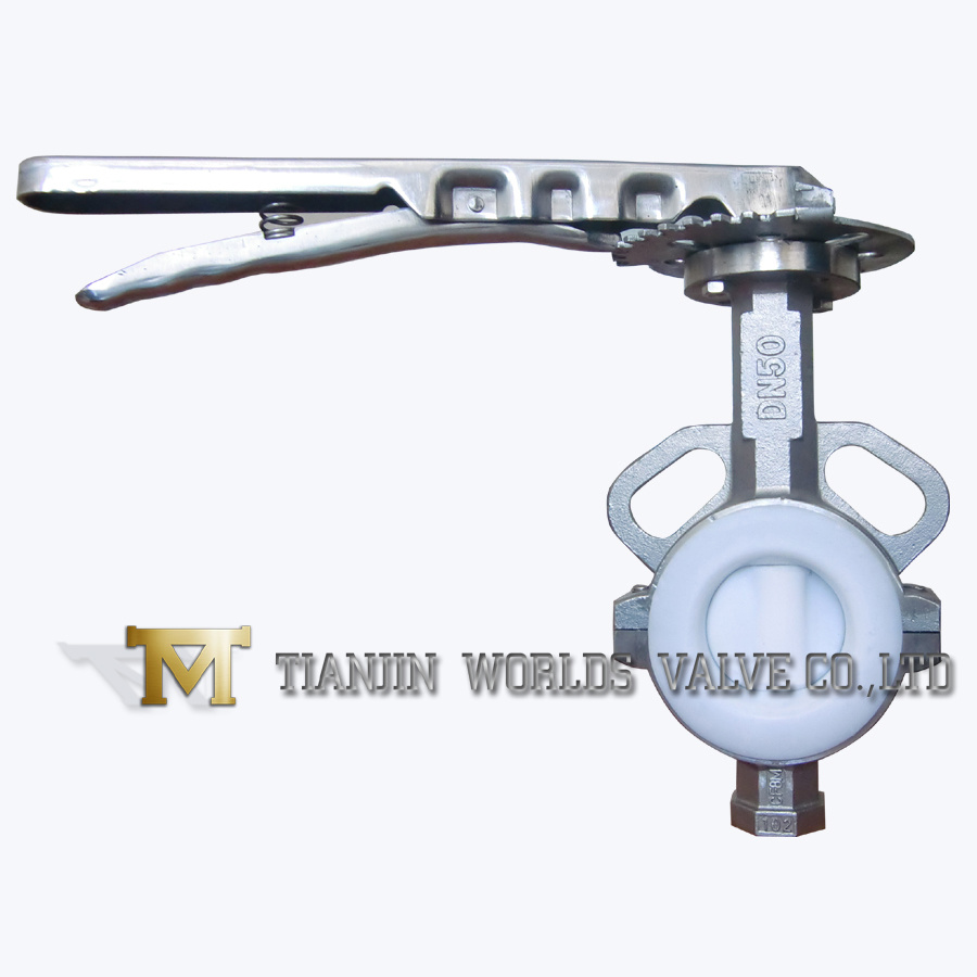 Stainless Steel PTFE Lining Wafer Butterfly Valve (D71X-10/16)