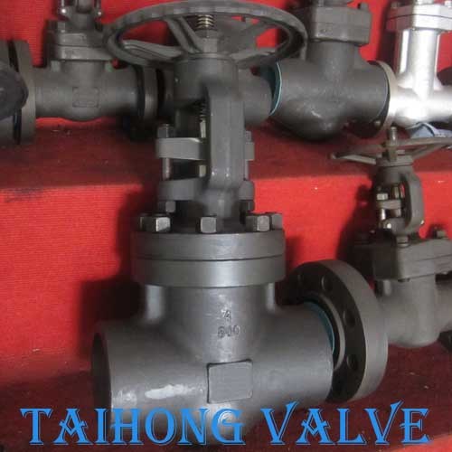 800lb Big Size 4 Inch Forged Steel Gate Valve