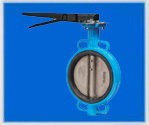 Manual Soft Seal Butterfly Valve