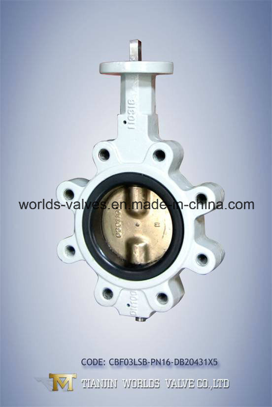 Lugged Butterfly Valve with Double Stem (WDS01 SERIES)