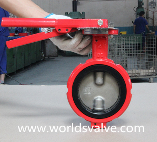 Double Shaft Industrial Valve (WDS)