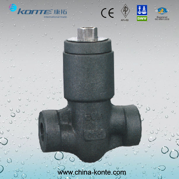Forged Pressure Seal Check Valve From China