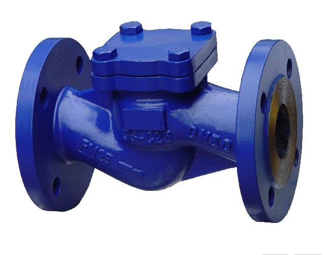 Forged Steel Lifting Check Valve
