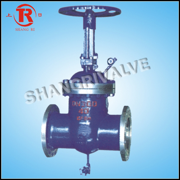 High Temperature Flanged Gate Valve (Z2F41Y-40I)