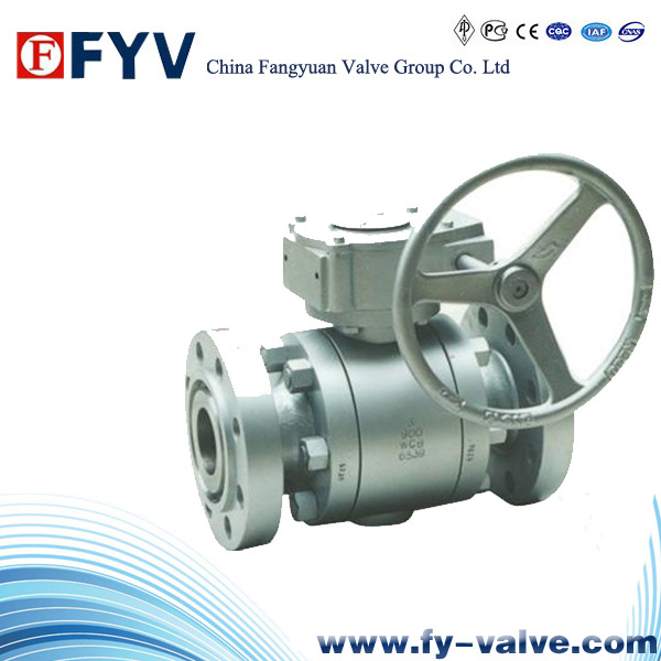 ASTM Forged Steel Trunnion Mounted Ball Valve