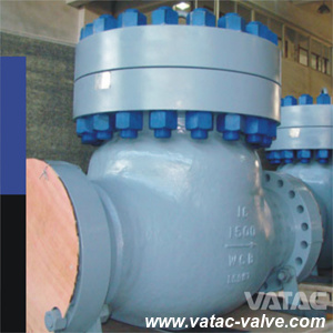 API 6D Industrial Flange or Wafer Cast Iron or Forged Stainless Steel Ball or Swing Check Valve