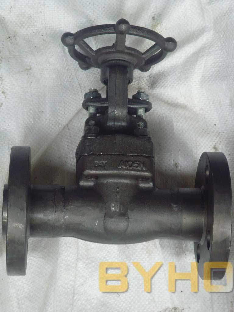 BS1873 Forged Steel Flanged Gate Valve