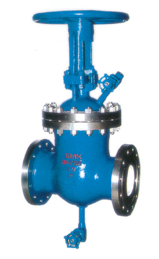 Gate Valve with Ablution Holes Forming