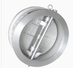 Wafer Check Valve with Dual Plate and Spring