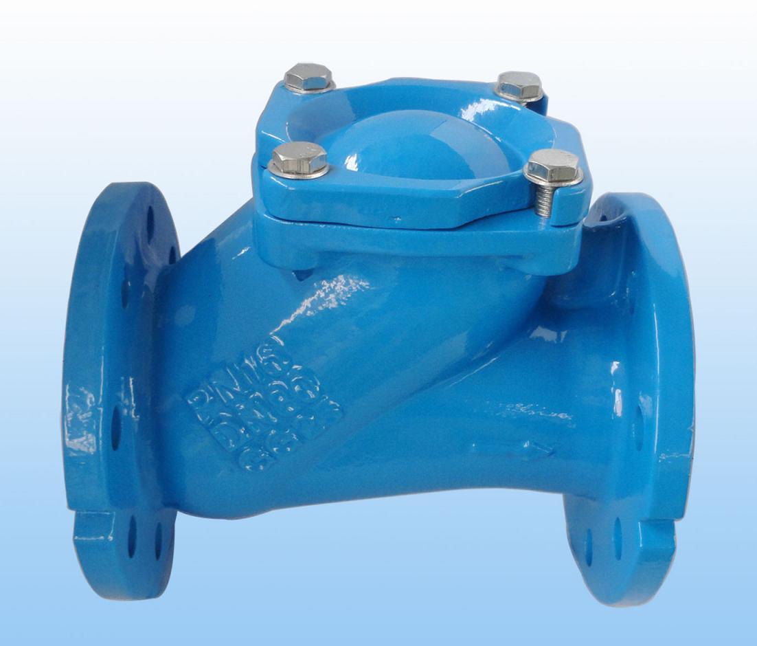 Ball Check Valve with Flanged