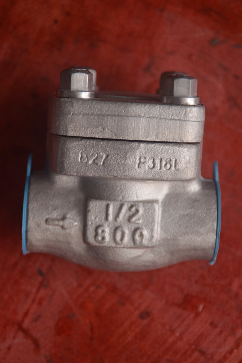 A105 Forged Steel Cl800 NPT Check Valve