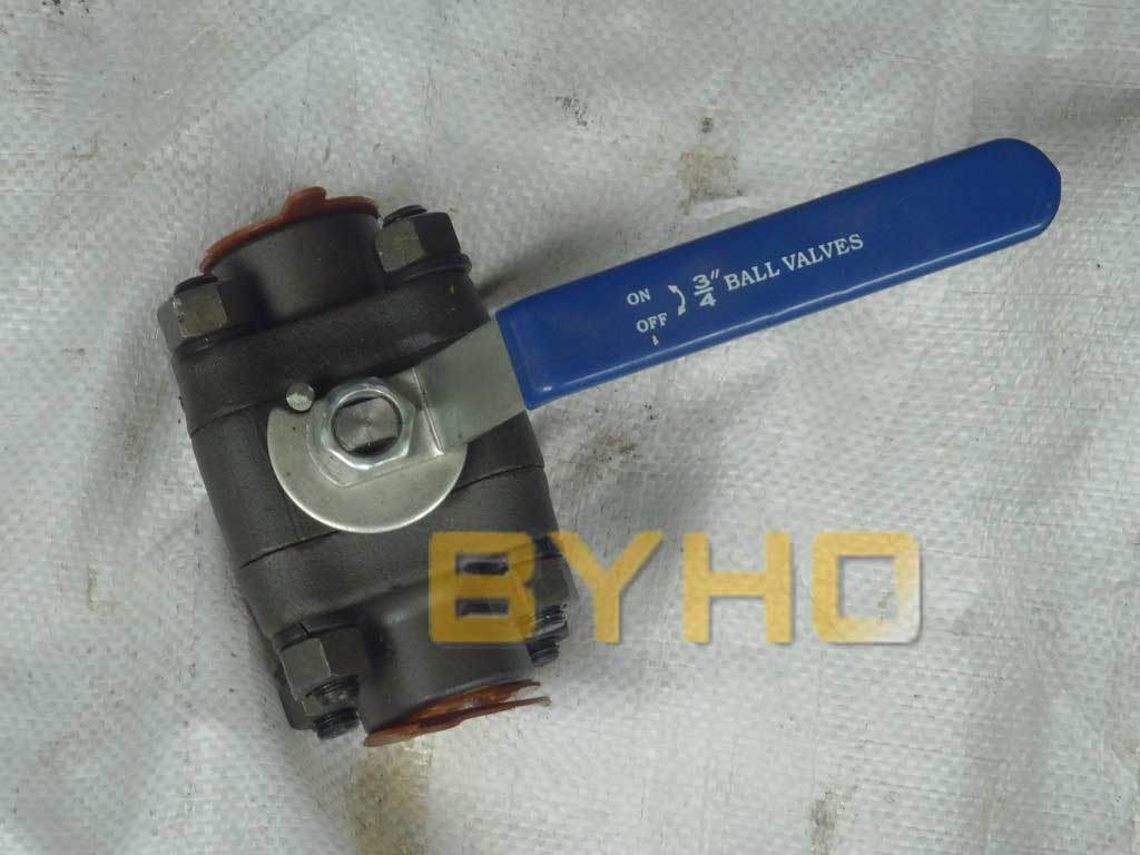 3 PC Forged Steel Ball Valve 1000 Wog