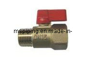 Straight Male and Female Valve