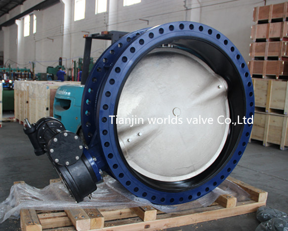 Stainless Steel Disc Double Flange Butterfly Valve