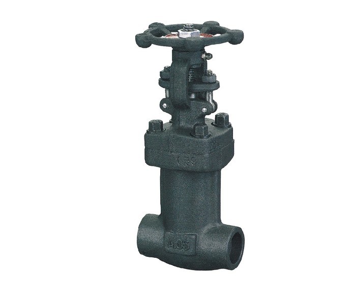 Forged Steel Bellow Sealed Gate Valves