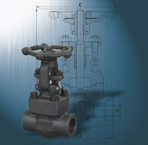 Forged Steel Gate Valve with API 6D